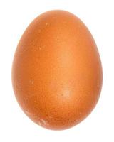 naturale Marrone crudo pollo uovo isolato su bianca foto