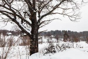 inverno paesaggio di vecchio poco russo villaggio foto