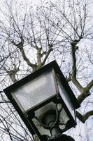 lanterna e spoglio albero nel urbano parco nel Firenze foto