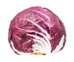 testa di fresco radicchio italiano cicoria isolato foto