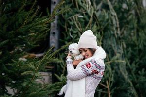 donna con un' bianca cane nel sua braccia vicino un' verde Natale alberi foto