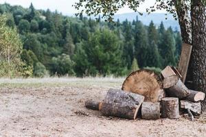 un' radura nel il foresta con piegato legna da ardere foto