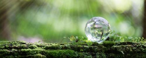 globo pianeta bicchiere nel verde foresta con bokeh natura luci. mondo ambiente giorno. concetto per ambiente conservazione, proteggere ecologia terra e ambientale eco-friendly vita con copia spazio foto