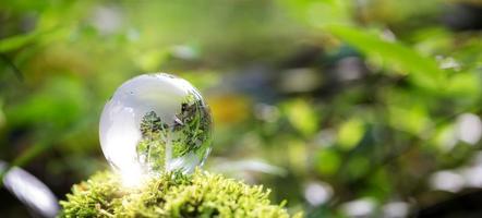 globo pianeta bicchiere nel verde foresta con bokeh natura luci. mondo ambiente giorno. concetto di ambiente conservazione, proteggere ecologia terra e ambientale eco-friendly vita bandiera e copia spazio foto