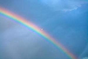 arcobaleno e gabbiano nel in profondità blu nuvoloso cielo foto
