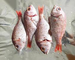 cucinando fresco pesce su Foglio. superiore Visualizza e vicino su. salutare mare cibo. dieta pasto preparazione. foto