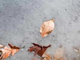 legato al ghiaccio foglia nel congelato stagno foto