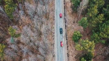 parecchi macchine con kayak su tetto cremagliera guida su il strada tra alberi foto