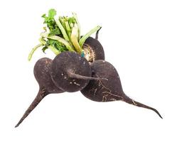 mazzo di poco nero ravanello fittoni con verdura foto