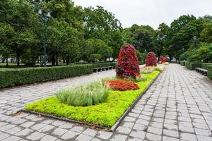 urbano spianata parco nel centro di riga foto