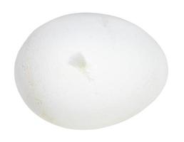 bianca crudo pollo uovo con aderendo giù isolato foto