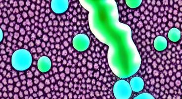 batteri virus o germi microrganismo cellule. 3d interpretazione foto
