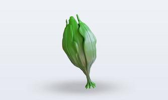 3d verdura spinaci interpretazione davanti Visualizza foto