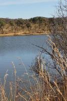 mabula Bushveld diga foto