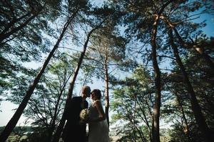 coppia illuminato raggio di luce del sole nel un' pino foresta foto