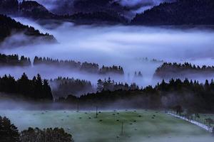 mattina nebbiosa nel paesaggio foto