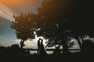 sposa sposo in piedi nel il parco foto