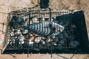 barbeque nel il giardino nel estate, vicino Visualizza foto