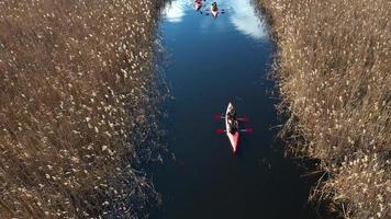 gruppo di persone nel kayak tra canne su il autunno fiume. foto