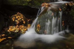 Visualizza di autunno cascate foto