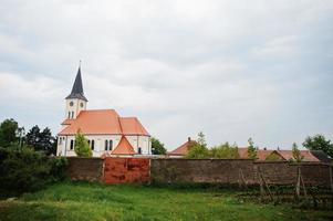 Chiesa con vino i campi all'aperto a vrbice, ceco repubblica. foto