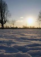 tranquillo inverno tramonto al di sopra di un' nevoso paesaggio foto