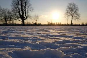 tranquillo inverno tramonto al di sopra di un' nevoso paesaggio foto