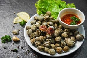 mollusco frutti di mare piatto vongole fresco crudo oceano buongustaio cena con erbe aromatiche e spezie foto