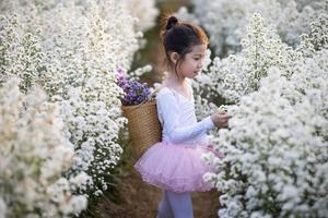 asiatico poco ragazza indossare un' Magia balletto Fata costume nel bellissimo bianca di Margaret fiori campo. foto