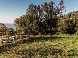 il villaggio di san andres de teixido foto