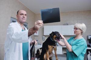 veterinario e assistente in una piccola clinica per animali foto