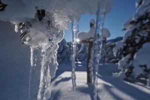 di legno attraversare coperto con fresco neve a bellissimo fresco inverno mattina foto