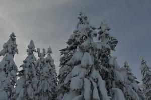 paesaggio montano invernale foto