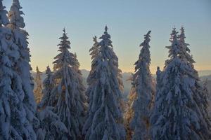 paesaggio montano invernale foto