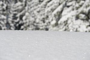 sfondo di neve invernale foto