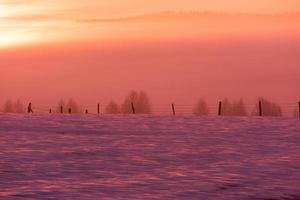 paesaggio invernale panoramico con albero solitario foto