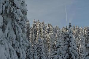 paesaggio montano invernale foto