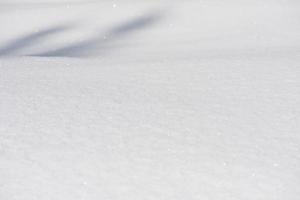 sfondo di neve invernale foto