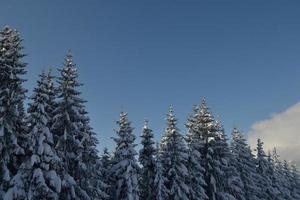 paesaggio montano invernale foto