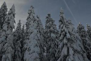 paesaggio montano invernale foto