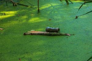 lemna e plastica, lattina, gomma da cancellare spazzatura nel il fiume. il concetto di il ecologico problema di ambientale inquinamento. foto