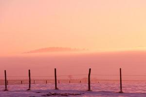 paesaggio invernale panoramico con albero solitario foto