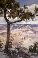 parco nazionale del Grand Canyon, Arizona foto