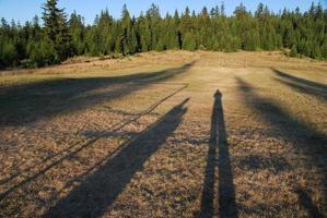 silhouette di un' famiglia foto