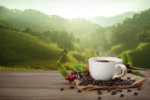 caldo caffè tazza con fresco biologico rosso caffè fagioli e caffè arrosti su il di legno tavolo e il nero sfondo con copyspace per il tuo testo. foto