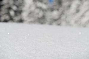 sfondo di neve invernale foto