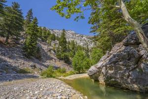 fiume pietra e albero, Visualizza acqua fiume albero, pietra fiume e sole raggio nel foresta foto