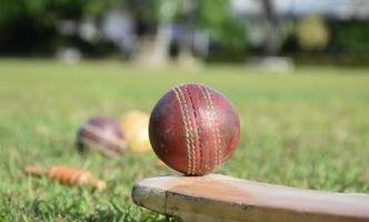 cricket sport attrezzature pipistrello palla guanti su verde prato sfocato verde erba cricket campo, concetto per utilizzando cricket sport attrezzatura nel addestramento. foto