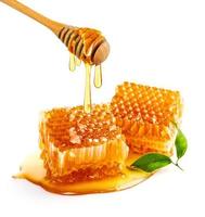 dolce Favo e di legno miele gocciolante isolato su un' bianca sfondo. miele mestolo foto