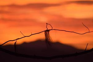 arancia tramonto nel il montagna foto